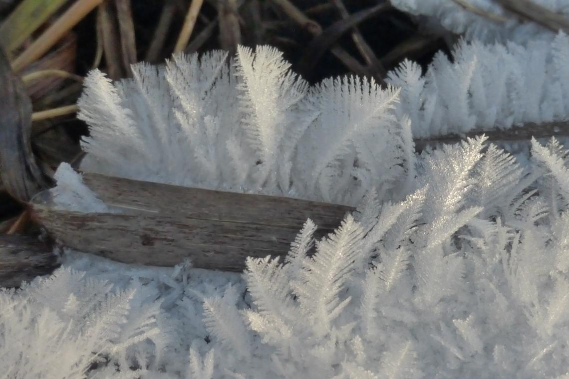 Ice Crystals No II! Photo: ERR | Ann Novek( Luure)–With the Sky as the ...